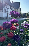 Pflanzenmarkt im Freilichtmuseum Hessenpark