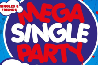 Die Mega Single Party