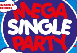 Die Mega Single Party