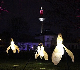 Winterlichter im Palmengarten leuchten wieder