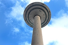 Neue Perspektiven für den 'Ginnheimer Spargel'