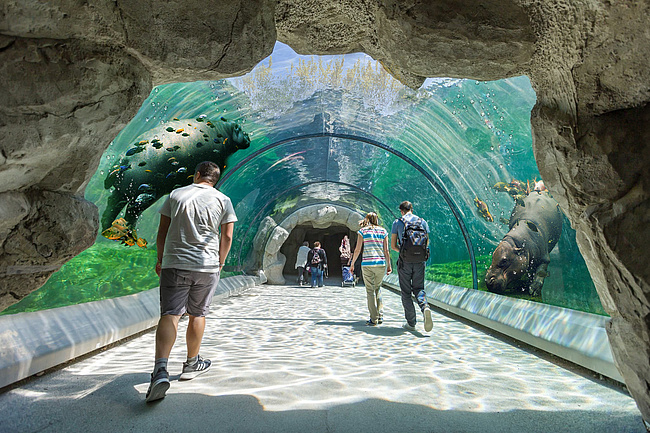 Frankfurt plans zoo of the future: more nature, more experience, more sustainability