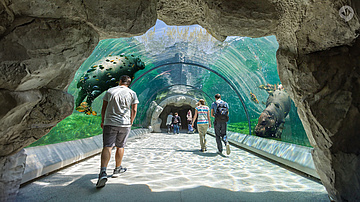 Frankfurt plans zoo of the future: more nature, more experience, more sustainability