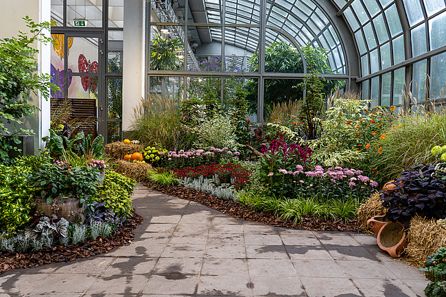 Palmengarten feiert Spätsommer mit einem Fest und Aktionen rund um Blüten und Bestäuber