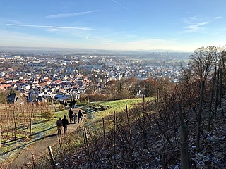 Mountain Christmas on the Johannisberg