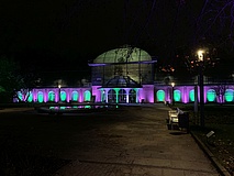 Winterlichter im Palmengarten: Lichterzauber durch stromsparende Technik
