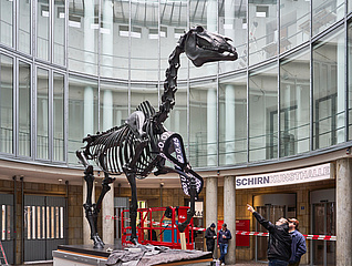 Schirn präsentiert Hans Haacke: Politische Kunst zwischen Demokratie und Kapitalismuskritik