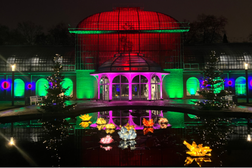 Winterlichter im Palmengarten 2024/2025