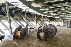 Neue Perspektiven für den 'Ginnheimer Spargel'