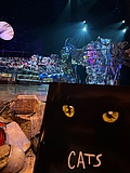 CATS feiert umjubelte Premiere in der Frankfurter Alten Oper