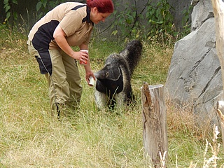 Der Zoo Frankfurt freut sich über einen spektakulären Neuzugang