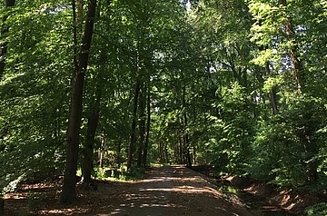 Rücksichtsvoll und umsichtig beim Osterspaziergang im Stadtwald