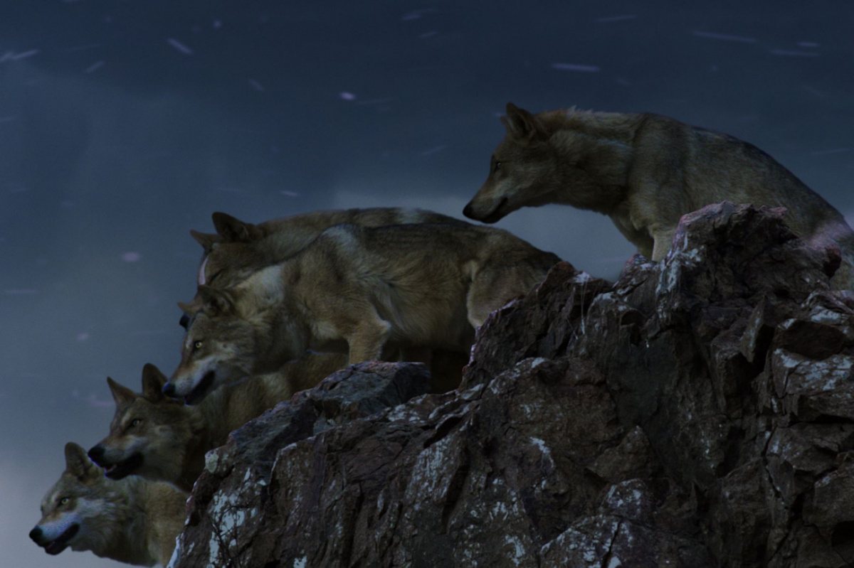 Волки 2015 фильм